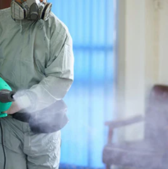 nebulisation cafards