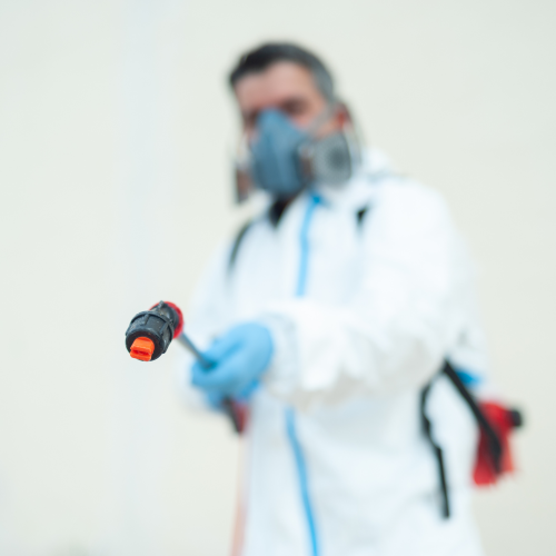 Hygiène Premium expert deratisation Paris