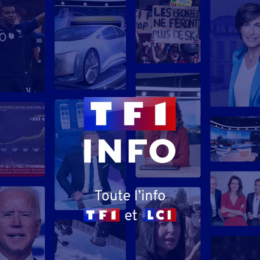 TF1 info punaises de lit