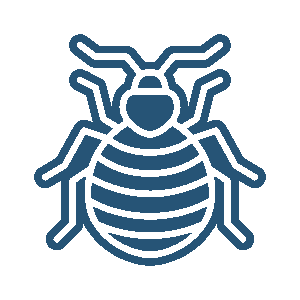 punaises de lit bleu